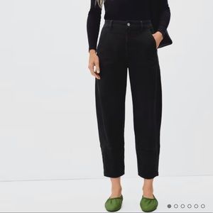 Everlane The Utility Barrel Pant